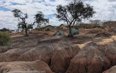 Tanzania is losing fertile land to soil erosion: what’s happening and what can be done