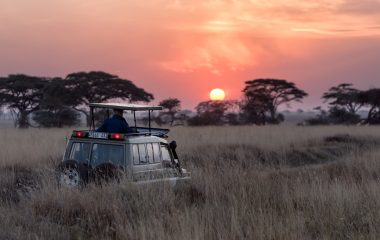 Kruger National Park records 1.7 million visitors in 2025 — a new all-time high