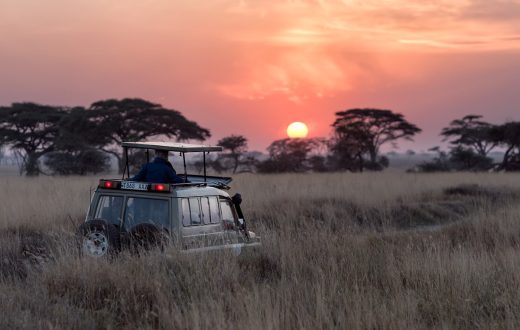 Kruger National Park records 1.7 million visitors in 2025 — a new all-time high