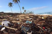 New research reveals South Africa's coastline among worst affected by ocean plastic pollution in southern hemisphere