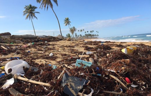 New research reveals South Africa’s coastline among worst affected by ocean plastic pollution in southern hemisphere