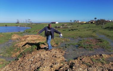 R50-million Humansdorp sewage plant fails key standards, says department