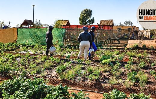 Part 7 | ‘No hunger here’ – How a Lenasia community garden helps unemployed families put food on the table
