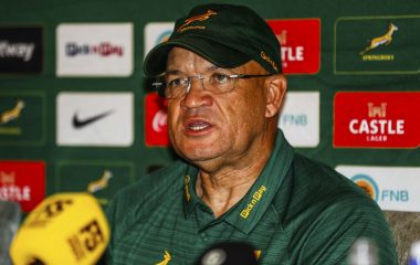 Davids expecting tough grind against Los Pumas