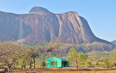 Poor pay is holding back Africa’s biodiversity research and reducing its contribution to global science