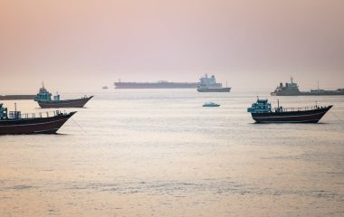 Ships stuck in the Strait of Hormuz region may be biosecurity risks when they leave. What can we do?