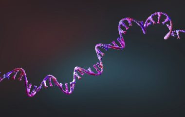 First mRNA flu shot approved by FDA bodes well for improving drugs of the future – though a few hurdles remain before mRNA can move beyond vaccines