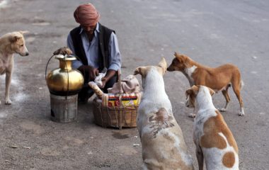 Street dogs: Why India can’t — and shouldn’t — evict its canines