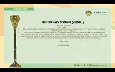 Virtual Mini-Plenary Sessions, 21 August 2026