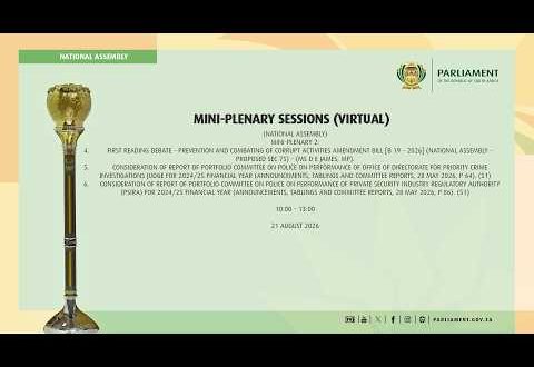 Virtual Mini-Plenary Sessions, 21 August 2026