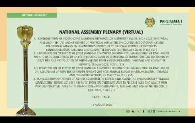 National Assembly Virtual Plenary, 11 August 2026