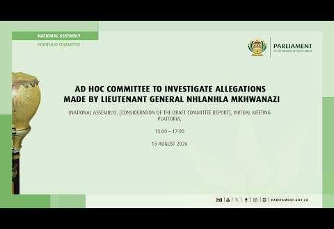 Ad Hoc Committee to Investigate Allegations made by Lieutenant General Mkhwanazi, 17 August 2026