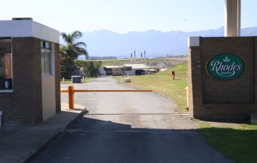Life in Tulbagh depends on its canning factory. Now it’s shutting down