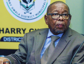 Minister Nzimande to embark on strategic visit to Gqeberha
