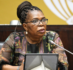 Shelter indaba places GBVF response under spotlight