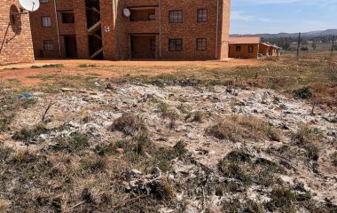 Gauteng families live in a swamp of sewage