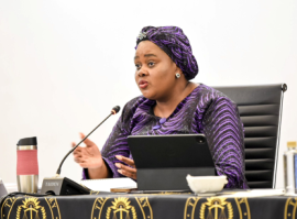 Justice Minister Kubayi welcomes appointment of SIU Head