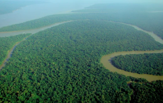 A winding brown river surrounded by dense green Amazon rainforest, seen from above.