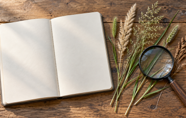 Illustrative still life of grass stems, a notebook and a magnifying glass on a wooden table