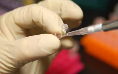 Gloved hand holding a micro test tube while a pipette transfers liquid in a laboratory.