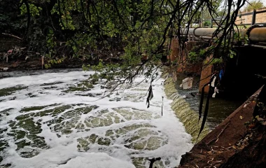 Some relief for Tshwane residents after city centre water declared safe