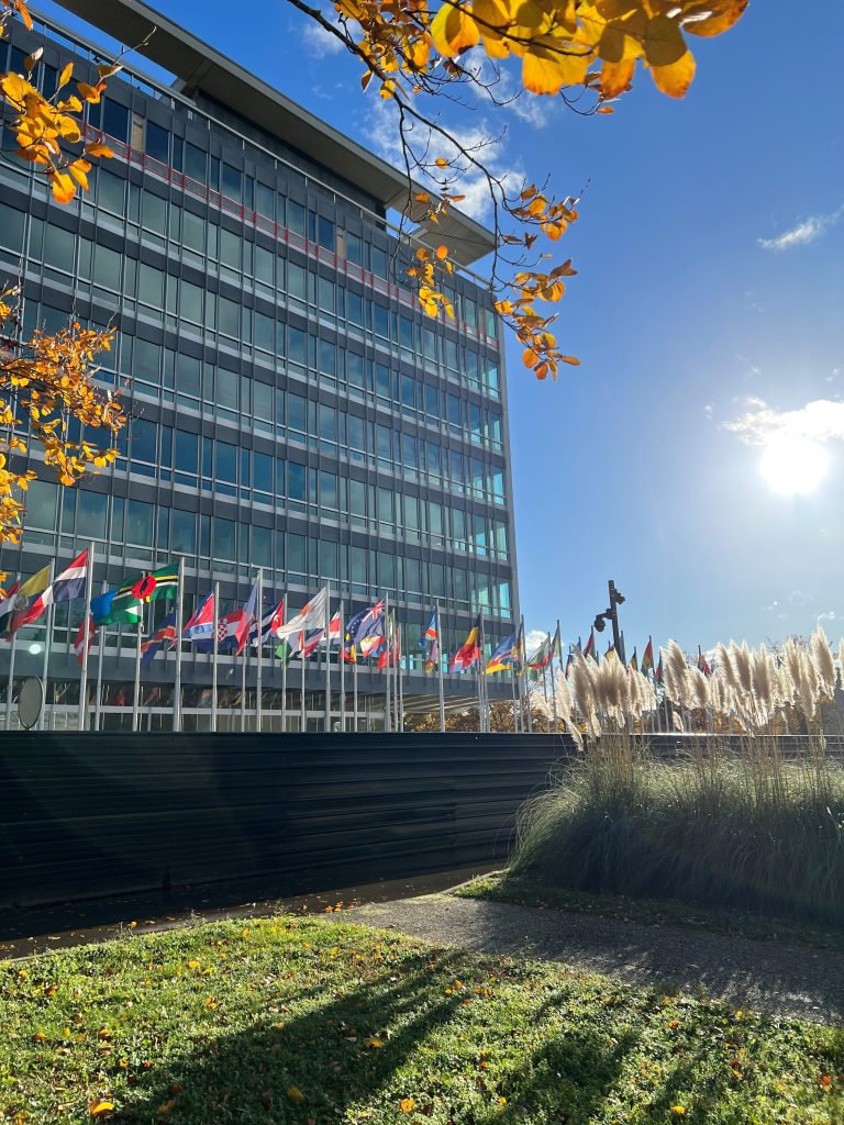 World Health Organization headquarters in Geneva in a November 2022 file photograph